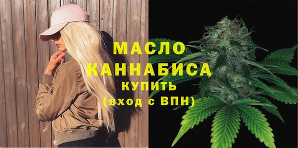 шишки Медногорск