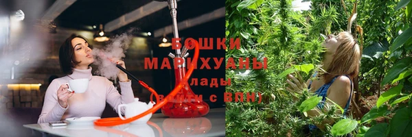 бошки Мегион