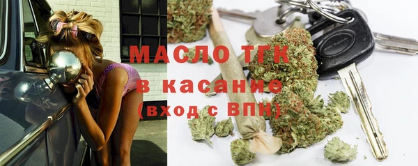 шишки Медногорск