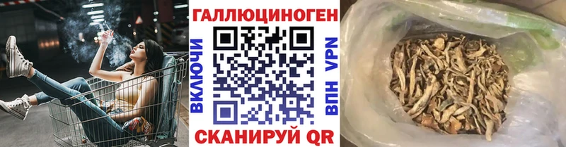 Галлюциногенные грибы Psilocybine cubensis  Грозный 